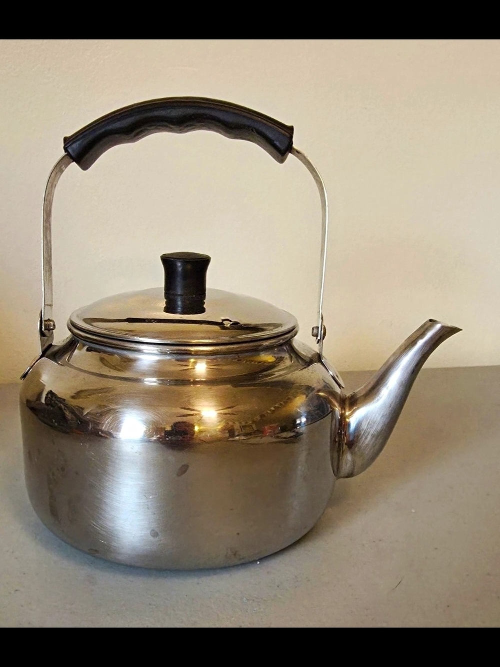 Stainless Steel Silver Teapot with Black Handle